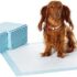 ARTISAN GIFT CO Hondensnack Hertengewei Kauwsnack 100% Natuurlijk – (M) Totaal gewicht +150 gram (2 stuks)